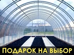 Теплица «СЕВЕРНАЯ» 5м