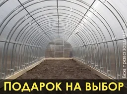 Теплица «СЕВЕРНАЯ» 3м